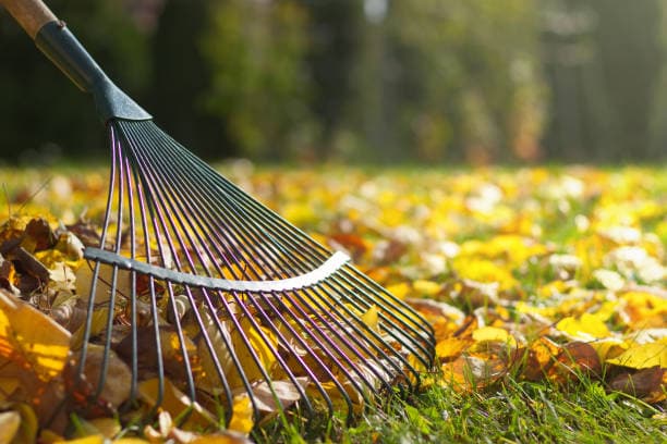 Raking